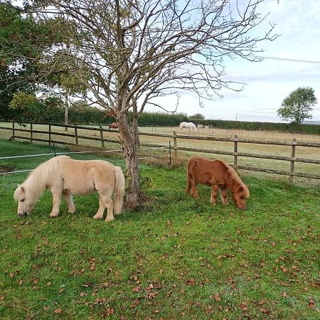 Crown Cabin Wiltshire Near Longleat And Bath Trowbridge Luaran gambar